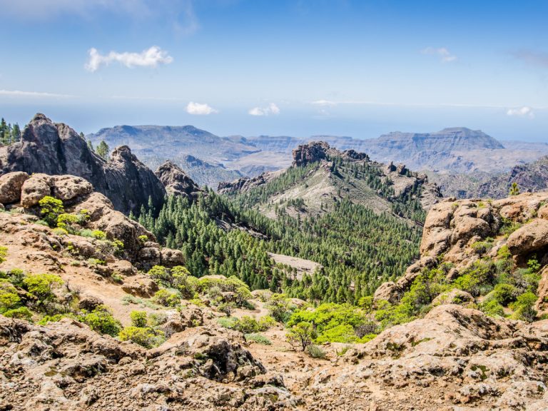 Dónde alojarse en Gran Canaria: las mejores zonas