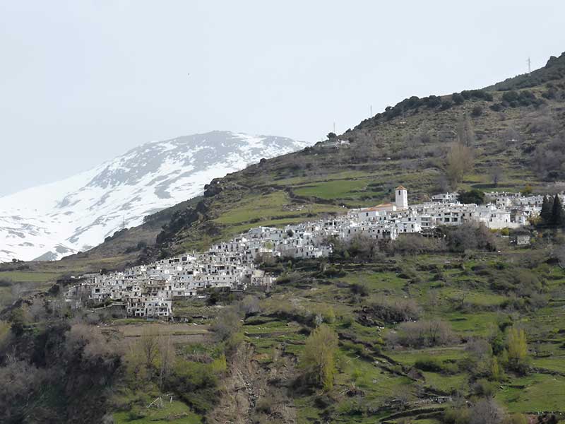 Dorf Capileira, Alpujarra/ Foto: Rosa Maria Rinkl [CC-BY-SA-4.0](Wikimedia Commons)